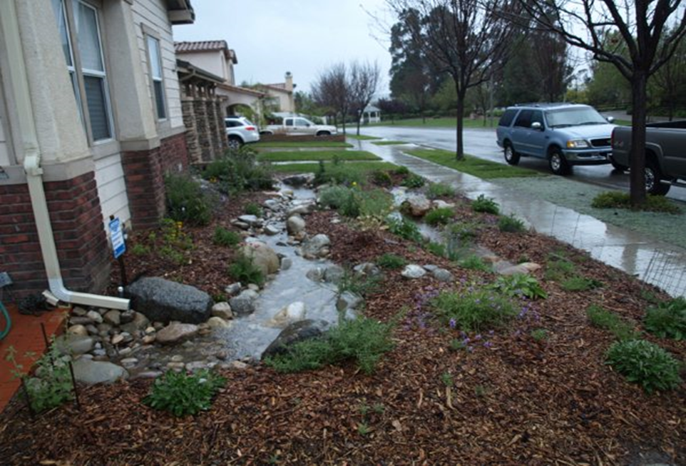 Ocean friendly garden in front of a house